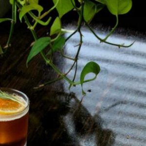 Elderberry Cucumber Cooler